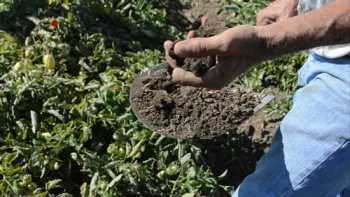 Scott Park Farms in Meridian, California