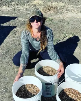 The researchers are also studying cover cropping, which may deliver some benefits of diversification, says UC Davis doctoral student Sara Rosenberg