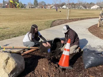Two people plant a tree in a park