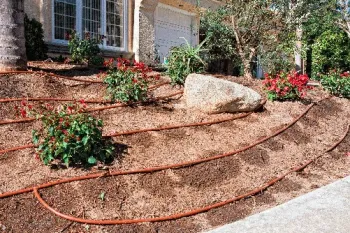 Drip lines in planted bed with slope show downhill movement of emitted water on the slope. Photo courtesy of The Plant Shed, Dallas-Fort Worth, TX.