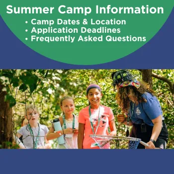 Summer Camp