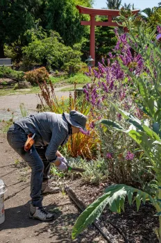 Our Habitat Garden (Photo credit: Martha Winnaker)