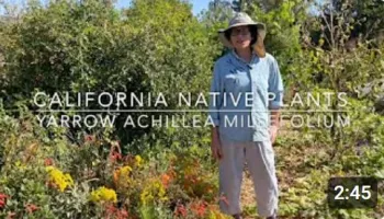 UC Master Gardener Program of Sonoma County on Social Media