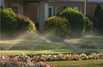 sprinkler irrigation for a home garden versus drip irrigation