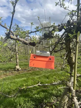 A “smart trap" that gives growers daily data on insect pest pressure and crop conditions