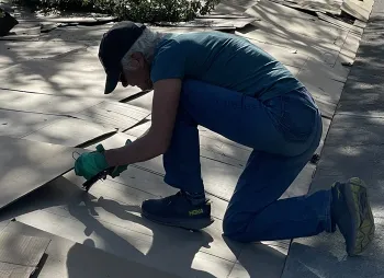 how to remove turf grass lawn with sheet mulch