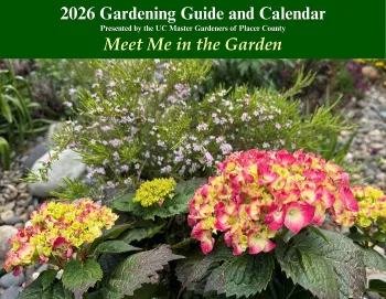 Front cover of calendar