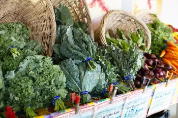 An organized farm stand display with fresh vegetables