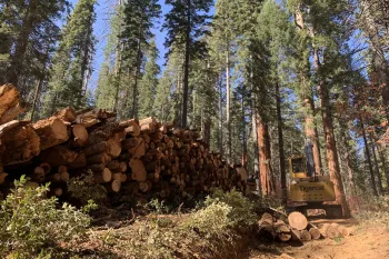 Log deck and loader