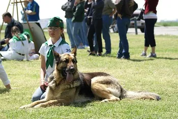 4-H Youth member with a dog during achievement day.