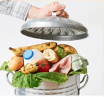 Garbage can filled with food waste.