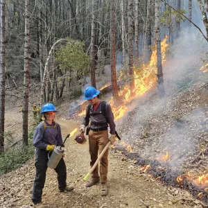 Photo of two community members participating in a prescribed burn in a conifer forest.