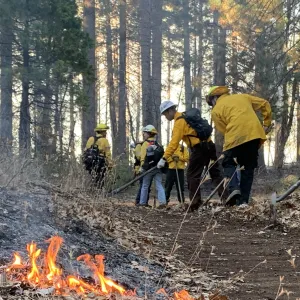 Community members participating in a prescribed burn.