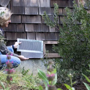A picture of a woman evaluating which fire-resistant vent to use on her home.
