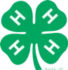 4-H clover