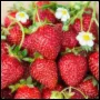 Strawerry