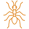 Orange icon of ant.